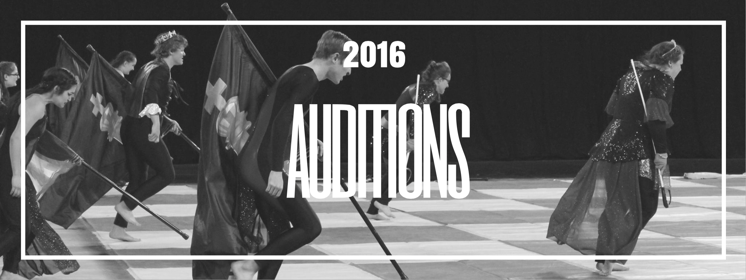 Audition for the 2017 Season