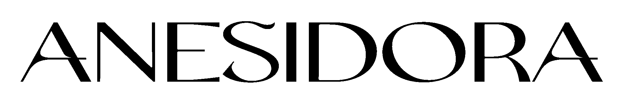 Anesidora Winter Guard